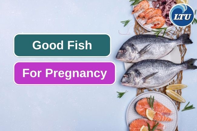 Consider This 5 Good Fish During Pregnancy